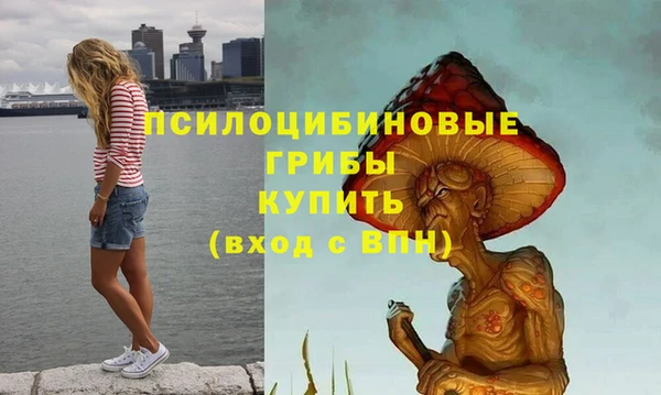 apvp Аркадак