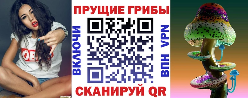 Галлюциногенные грибы Psilocybe  купить наркотик  Балабаново 