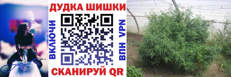 наркота  Балабаново  мориарти состав  Марихуана VHQ 